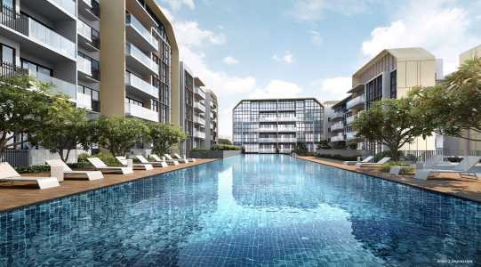 Gazania_50m_Lap_Pool Gazania_50m_Lap_Pool